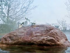 -天目湖涵田半山温泉