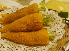 -丁老爷子苏香圆