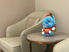 -梧桐人家中国太平国际健康颐养社区