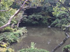 -成田山新胜寺