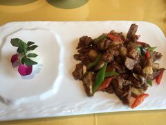 -素虎小呆鸟(西二旗店)