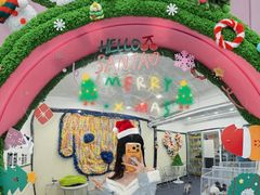 -有喵·猫咖·狗咖·30几只猫10只小狗(岗厦店)