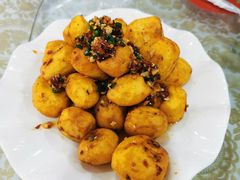 -谭家菜农夫山庄