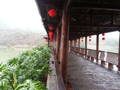 -南宁花花大世界景区