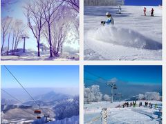 -中旅松花湖滑雪场