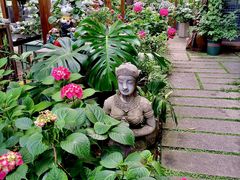 -谷咖啡·鲜花绿植花园餐厅
