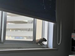 -武警上海市总队医院-停车场