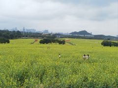 -光明小镇欢乐田园