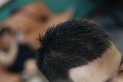 -鸿運 BARBER SHOP男士理发馆