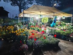 -赤红音乐现场(浦东金桥路店)