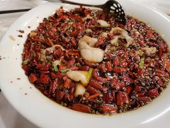 水煮鲈鱼-眉州东坡(华联万柳店)