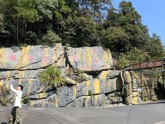 -长沙黑麋峰国家森林公园