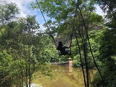 -修水东浒寨风景区