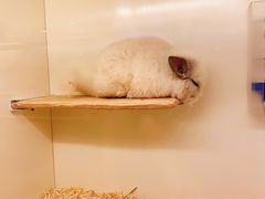 -龙猫仔乐园(惠福东路店)