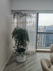 -HEYAN荷妍专业脱毛连锁机构
