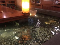 -松子料理(亮马桥店)
