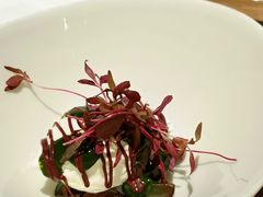 自制ricotta-EGoN