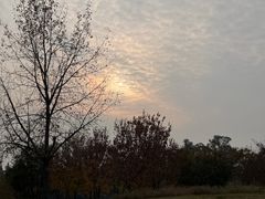 -两河城市森林公园