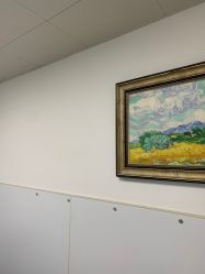 -温州伯思立医院