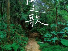 -广州市石门国家森林公园