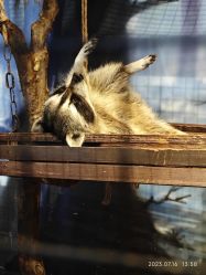 -酷嗒动物文化乐园(cutezoo西溪乐天城店)