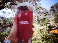 -鸡鸣赐茶(鸡鸣寺路店)