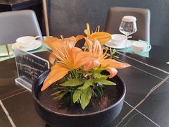 -恬阿姨庭院餐厅·生日宴