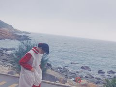 -广东惠东海龟国家级自然保护区