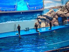 -福州罗源湾海洋世界旅游区