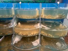 水产区-同道蒸汽海鲜烧烤自助(刘庄夜市店)