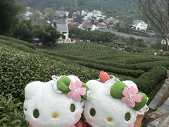 -龙井壹号·茶缘山景宴(龙井村店)