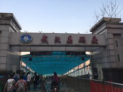 -武汉关码头(轮渡站)