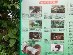 -万兴启丰椰子文化园餐厅