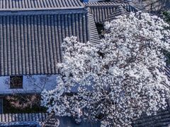 -常熟方塔园