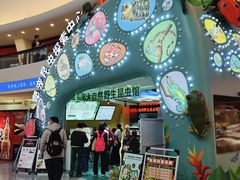 -上海大自然野生昆虫馆(东方明珠·爬宠昆虫探索中心)