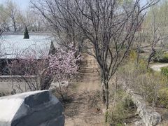 -抱犊寨风景区
