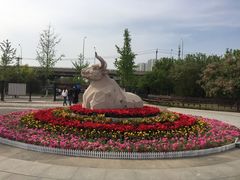 -永定河休闲森林公园