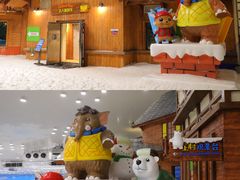 -湘江欢乐城欢乐雪域