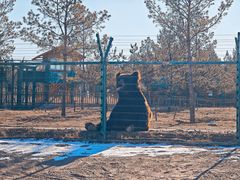 -鄂尔多斯野生动物园