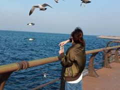 -东港音乐喷泉广场