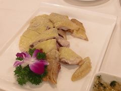朱记白切鸡-朱仔记食府(江南大道店)
