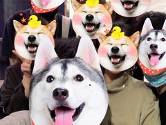 -纯K(打浦桥店)