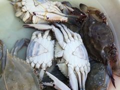 -芦潮港集贸市场