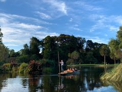 -墨尔本皇家植物园
