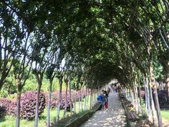 -武汉紫薇都市田园