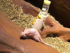 -北京野生动物园