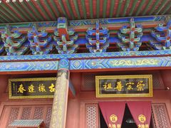 -大槐树寻根祭祖园