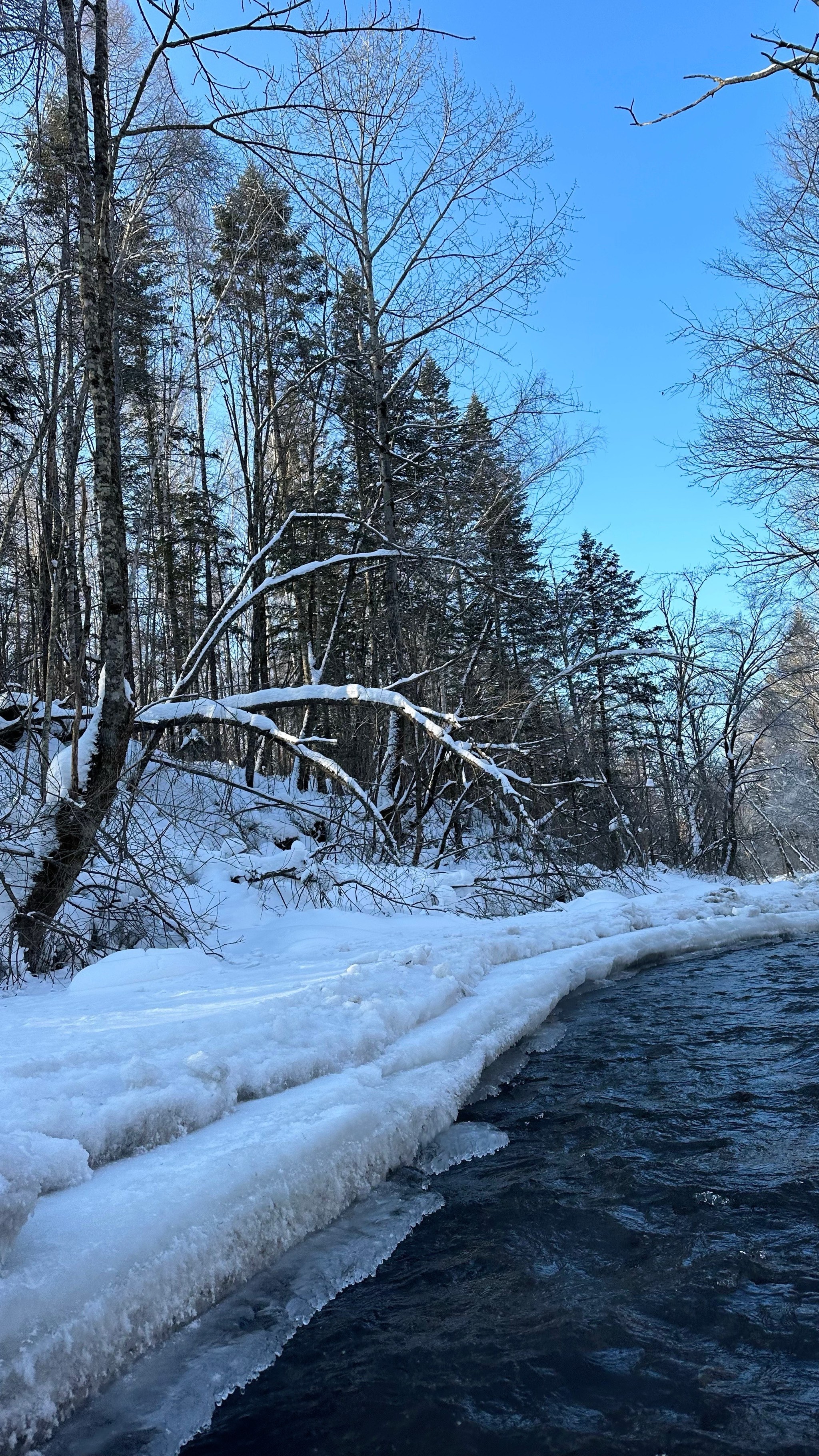 冰雪风景图片图片