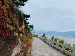 -北岐滩涂
