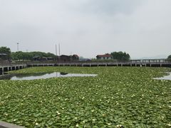 -新木器时代餐厅(太湖新天地店)